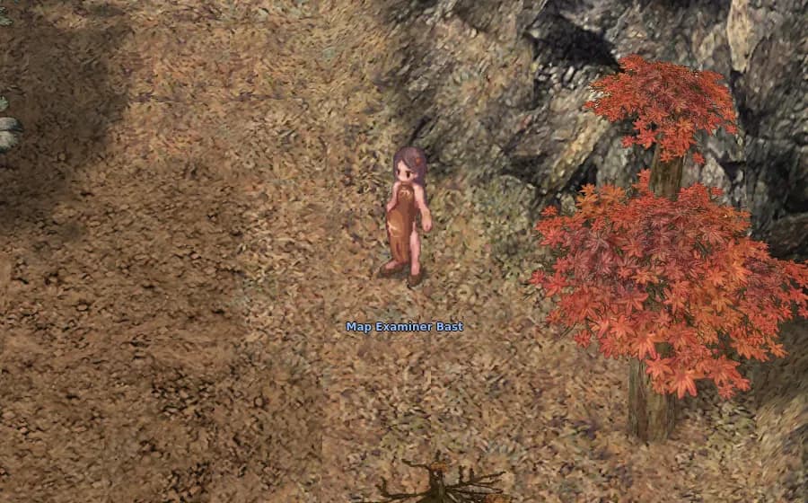 Map Examiner Bast in game