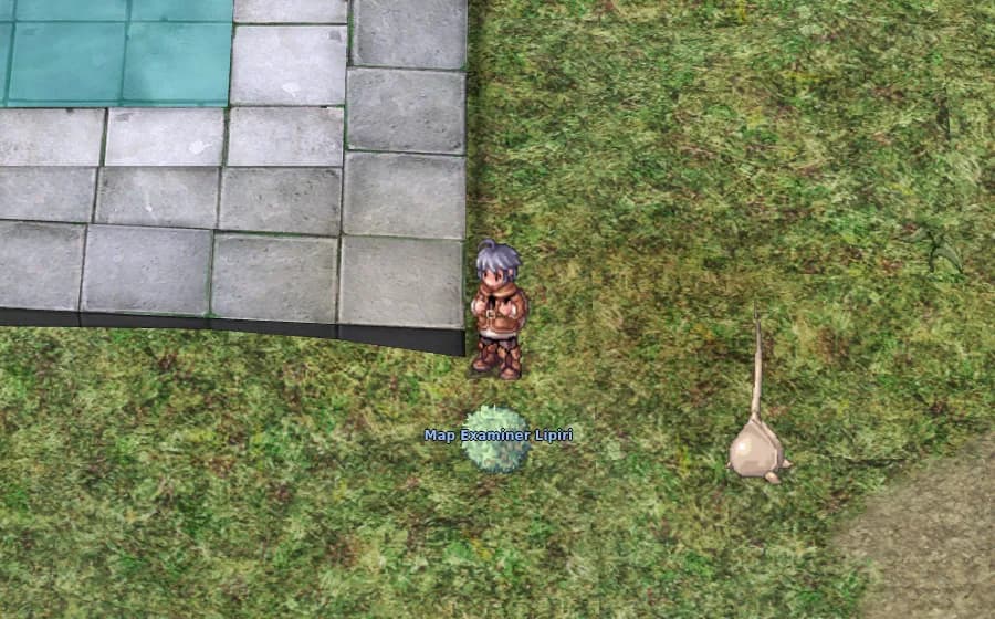 Map Examiner Lipiri in game