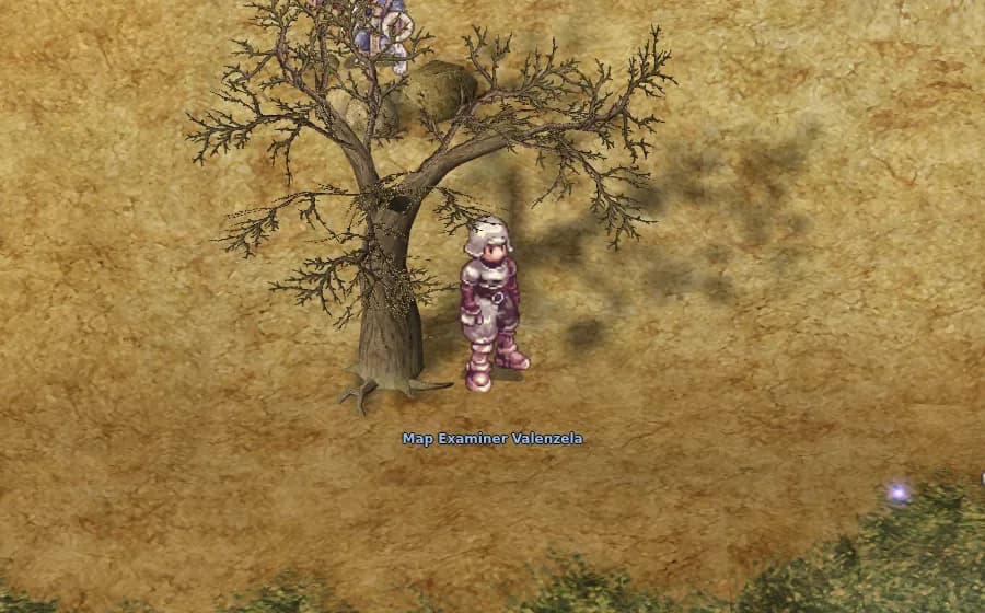 Map Examiner Valenzela in game