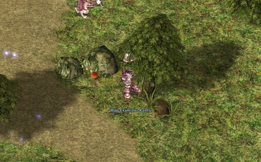 Map Examiner Kantu in game