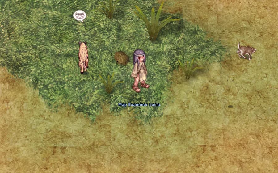 Map Examiner Lucia in game