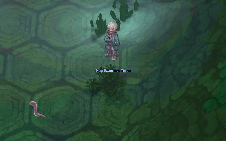Map Examiner Tidun in game