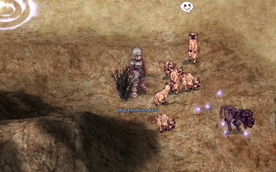Map Examiner Rana in game