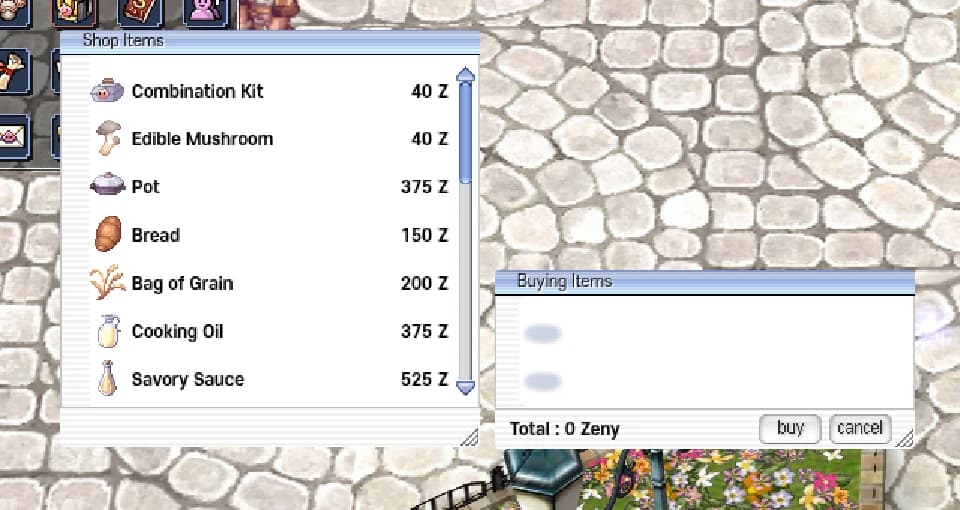 The Chef Assistant shop window in Prontera in game