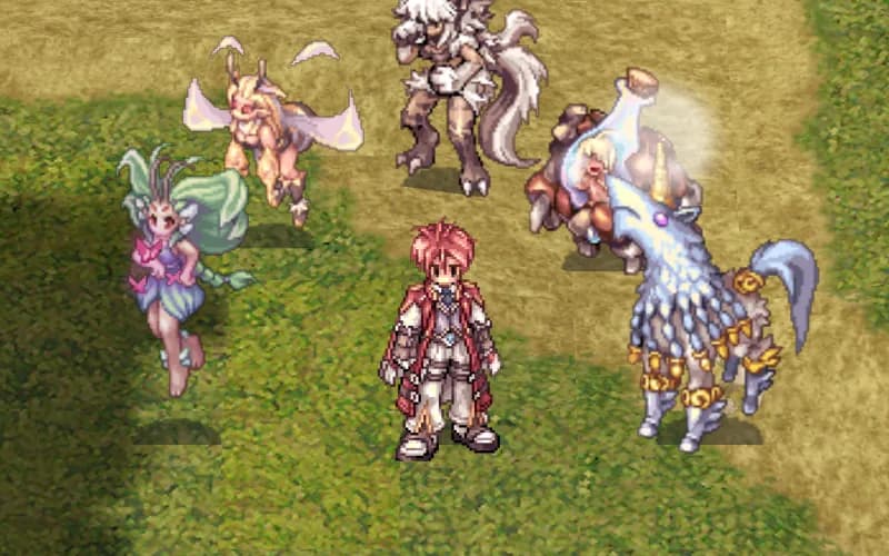 The five Homunculus S types side by side; in the game you have one at a time. in game