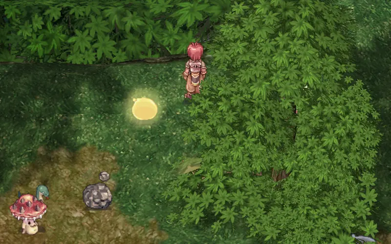 Payon Forest in game