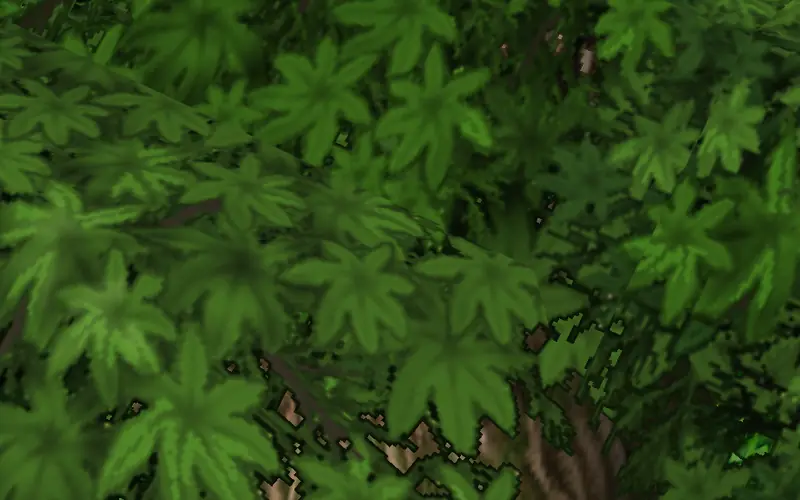Sograt Desert in game