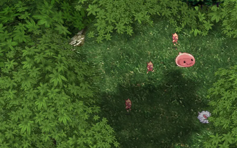 Payon Forest in game