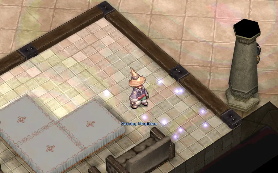 The Catalog Magician standing in his room