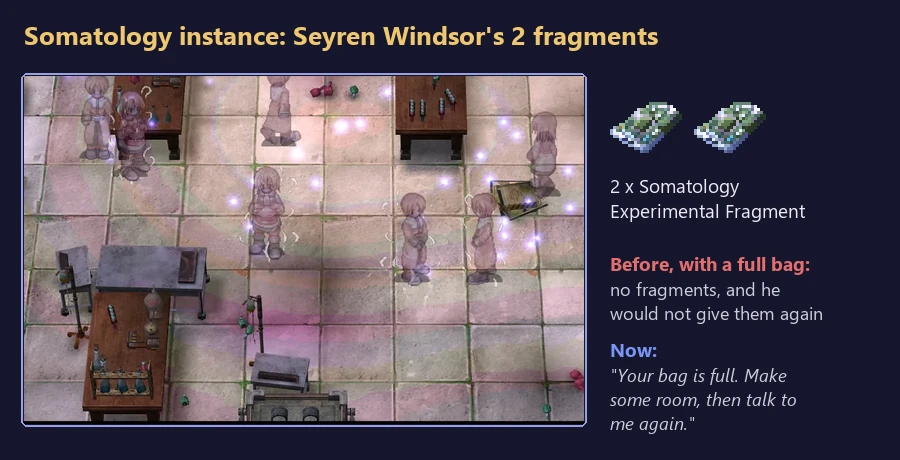 The Somatology instance laboratory with its pale echoes, the 2 Somatology Experimental Fragments, and Seyren Windsor's new line: Your bag is full. Make some room, then talk to me again.