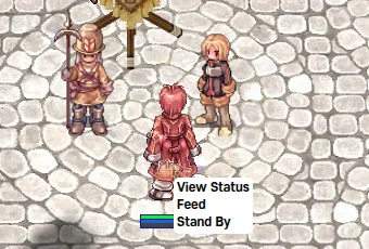 A homunculus beside its owner in Prontera, with its right-click menu open: View Status, Feed, Stand By.